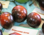Pomidorowa Królowa Nocy