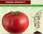Pomidorowa Miłość Ziemska