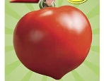 Pomidorowa Mashenka
