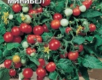 Pomidorowy minibel