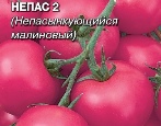 Nepas pomidorowy 2