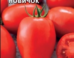 Pomidor nowicjusz