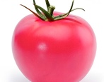 Pomidorowa Pandarosa