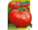 Pomidor Polbig