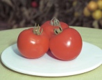 Pomidorowy półfast