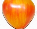 Pomidorowe Serce Moreli Zebra