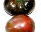 Pomidorowe stringi