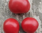 Pomidor Super Klusha