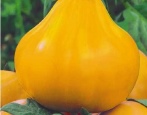 Trufla pomidorowa żółta