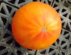 Ananas Pomidorowy