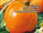Pomidor Serce bydlęce bursztynowe