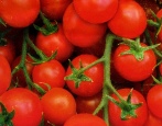 Pomidorowy Karmel czerwony