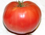 Pomidor Jusupowski
