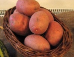 Ziemniaki Bellarosa