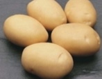 Ziemniaki