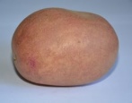 Ziemniaki Lel