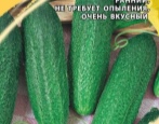 Ogórek Babayka