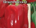 Papryka Giganto Ross