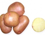Gospodyni Ziemniaczana