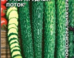 Ogórek Szmaragdowy Strumień