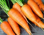 Marchew Carotel