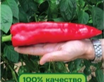 Papryka Lasanta