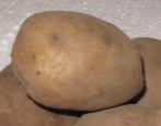 Ziemniaki Ługowskie