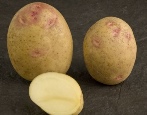 Ziemniaki Picassa