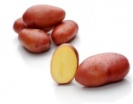 Ziemniaki Rosara