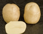 Sante ziemniaki