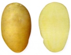 Ziemniaki Tulejewskiego