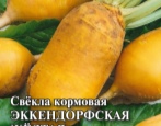 Burak żółty Eckendorf