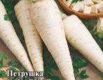 Pietruszka cukrowa