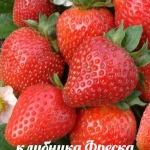 Truskawkowy Fresk