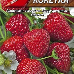 Truskawkowa Kokietka