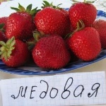Miód Truskawkowy