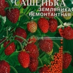 Truskawkowa Sasza
