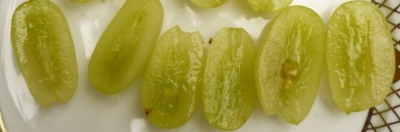Sycylia winogrona