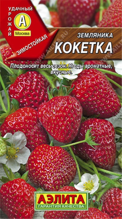Truskawkowa Kokietka