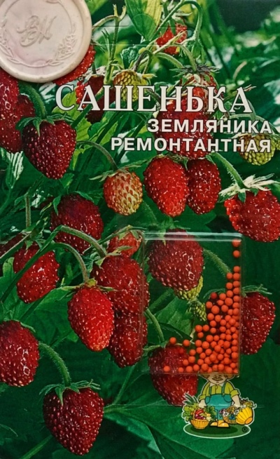 Truskawkowa Sasza