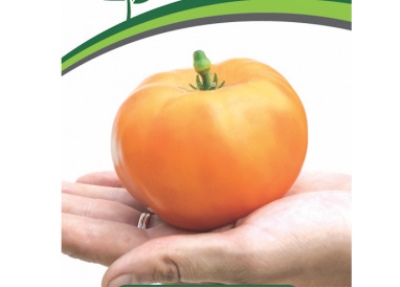 Pomidorowa Amana Pomarańcza