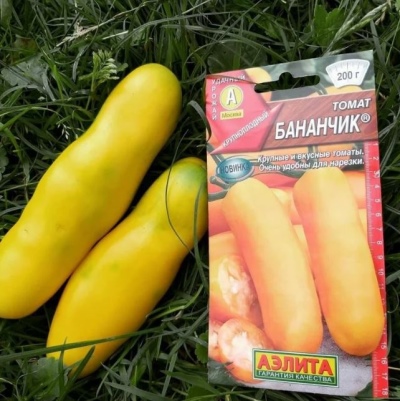Pomidor Banan