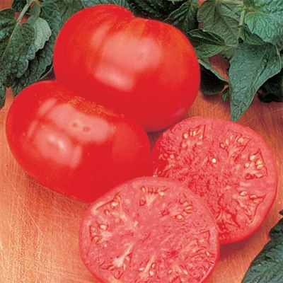 Befsztyk Pomidorowy