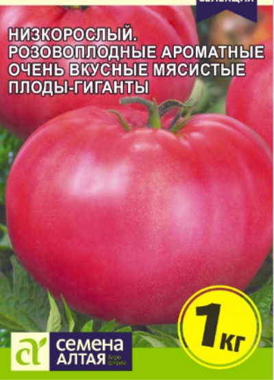 Pomidor Biysk rosean