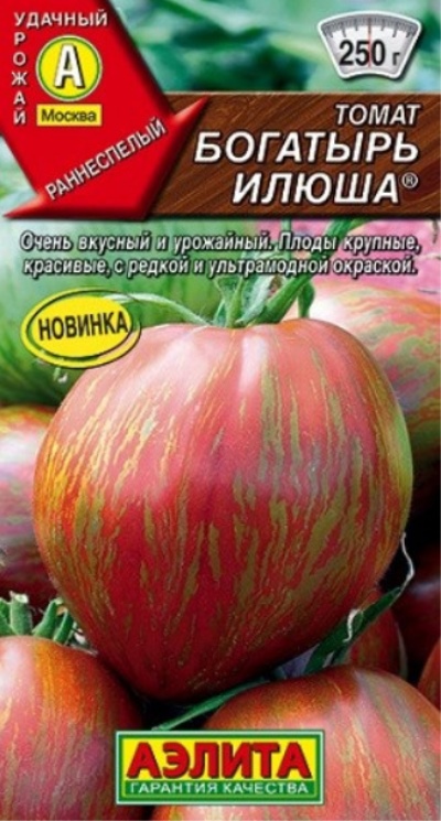 Pomidor Bogatyr Iljusza