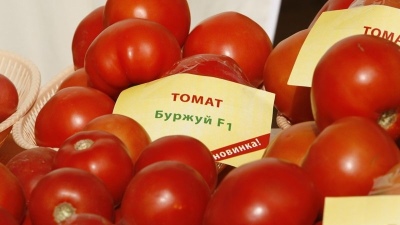 Pomidorowa burżuazyjna