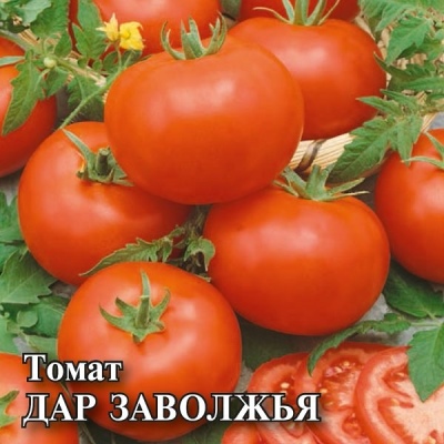 Pomidor Dar Zavolzhie