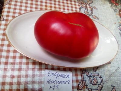 Pomidor Dobrynya Nikitich