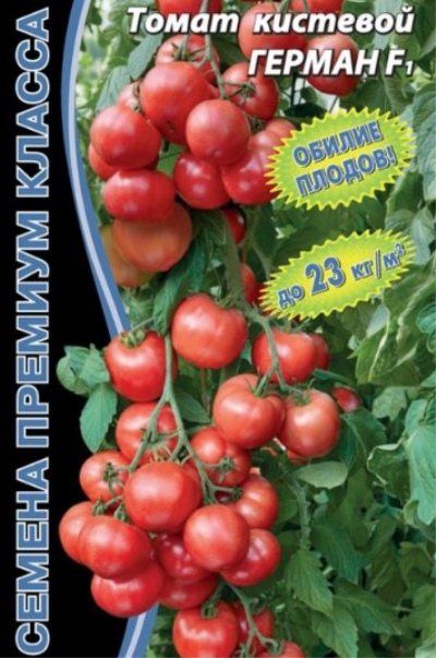 Pomidor Herman