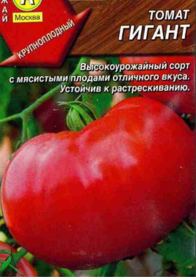 Pomidorowy Gigant
